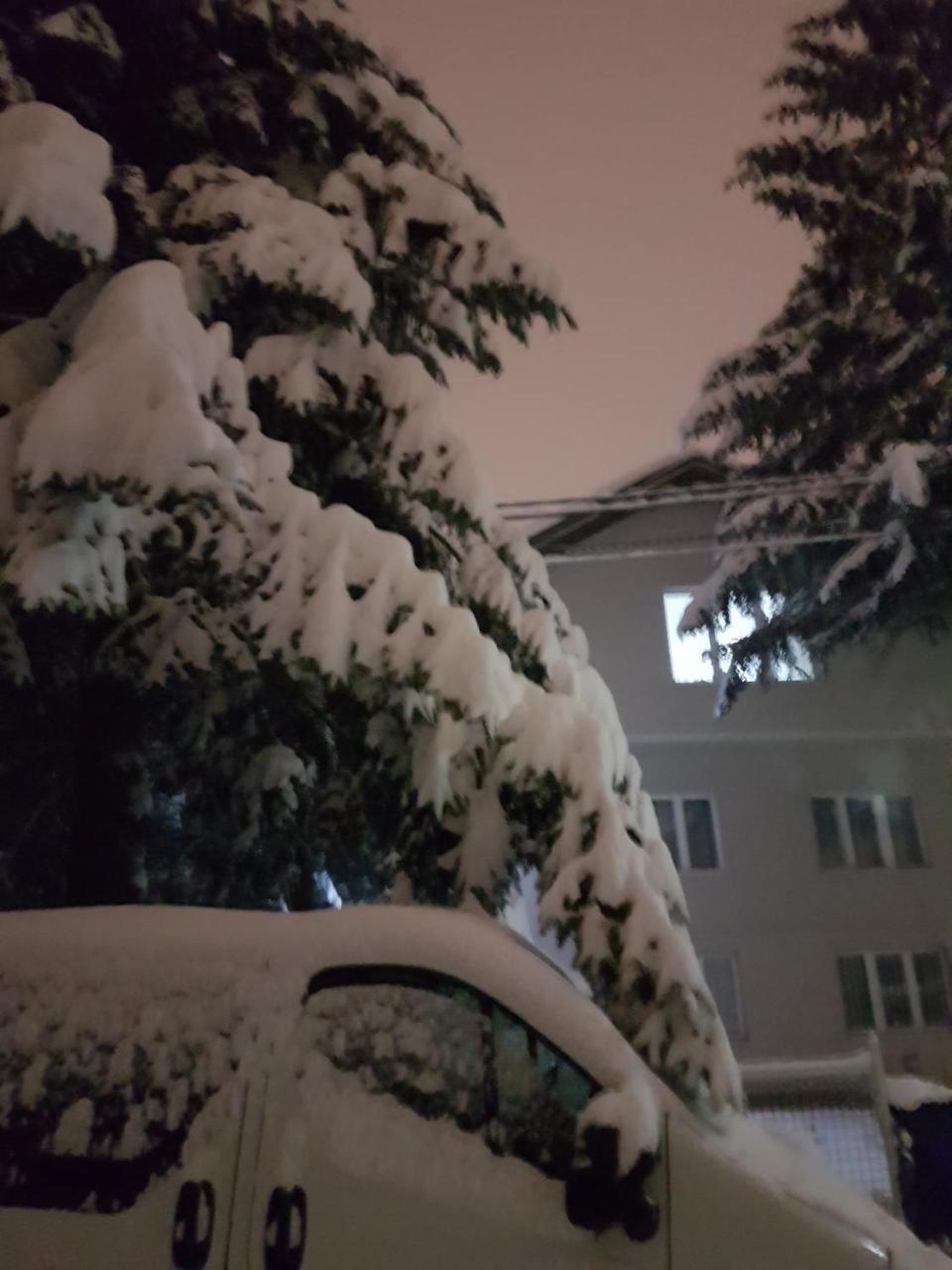 Cosy And Chic... Parking Included Leilighet Sarajevo Eksteriør bilde
