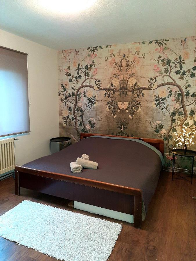 Cosy And Chic... Parking Included Leilighet Sarajevo Eksteriør bilde